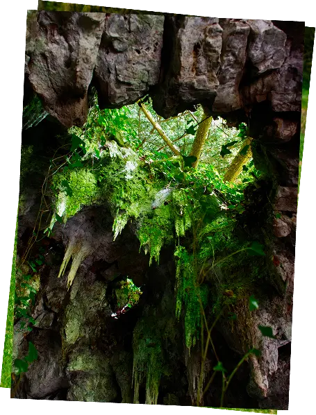 Stalactites in the Madeleine grotto in the park of Château d’Attre, Hainaut, Belgium