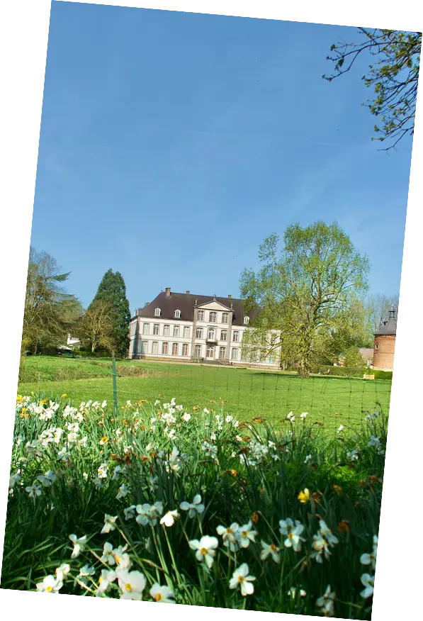 Château d’Attre entouré de jonquilles au printemps, parc classé de Wallonie