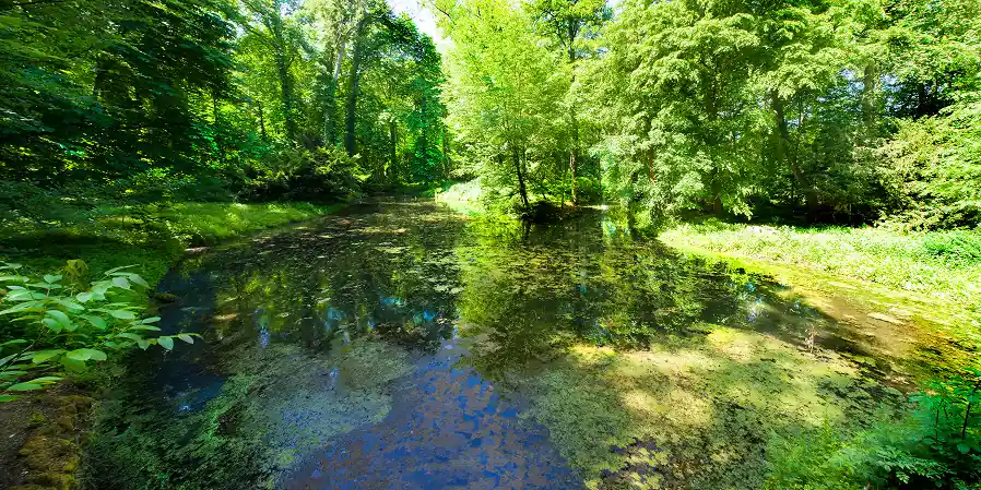 Grand étang dans le parc paysager de 17 ha du Château d’Attre, Brugelette